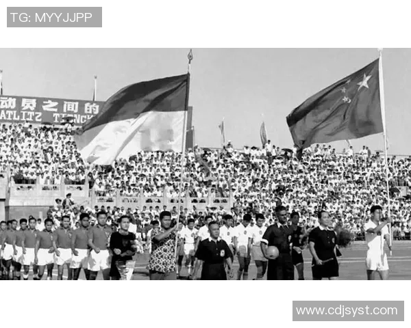 成都网球队的世界杯征程与奋斗故事全景回顾